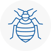 Bed Bug Extermination In Stotfold