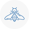 Bee Nest Removal Stotfold