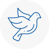 Bird Prevention Stotfold