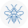 Stotfold Hornet Nest Removals