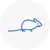 Mice Exterminators In Stotfold