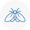 Moth Control Specialists In Stotfold