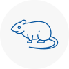 Rat Control Stotfold