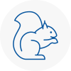 Stotfold Rodent Removals